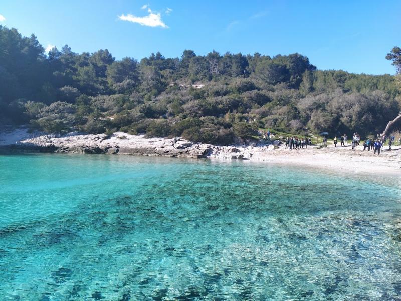 La costa es vida