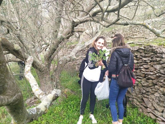 Students explore Nature (recognize medicinal plants and different plant and animal species) Students explore Nature (recognize medicinal plants and different plant and animal species)