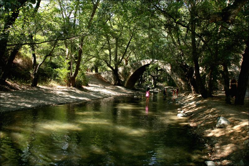  Ponte nelle montagne di Paphos, biodiversità ricca di specie animali e vegetali (GeoUniversityNic)