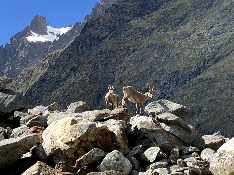 Un “Kamishibai” per scoprire la biodiversità